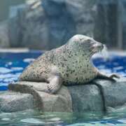 ゆかり 個性＝魅力 AVANCE福岡