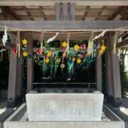 ヒメ日記 2025/12/10 07:15 投稿 ゆかり AVANCE福岡