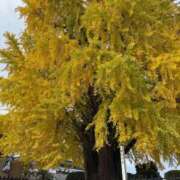 ヒメ日記 2025/12/13 09:01 投稿 ゆかり AVANCE福岡