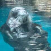 ヒメ日記 2025/12/20 07:01 投稿 ゆかり AVANCE福岡