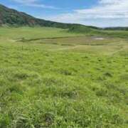 ヒメ日記 2026/02/04 07:01 投稿 ゆかり AVANCE福岡