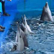 ヒメ日記 2026/02/15 07:01 投稿 ゆかり AVANCE福岡