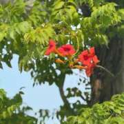 ゆかり Float like a butterfly，sting like a bee. AVANCE福岡