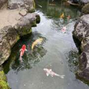 ゆかり 且緩々 AVANCE福岡