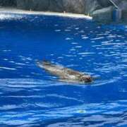 ヒメ日記 2026/06/12 03:16 投稿 ゆかり AVANCE福岡