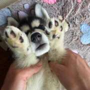 ヒメ日記 2025/08/29 13:06 投稿 ちあき ぽちゃらん神栖店