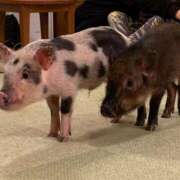 ヒメ日記 2025/09/15 16:36 投稿 ちあき ぽちゃらん神栖店