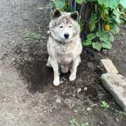 ヒメ日記 2025/09/18 08:36 投稿 ちあき ぽちゃらん神栖店