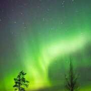 ヒメ日記 2025/11/11 21:46 投稿 ちあき ぽちゃらん神栖店