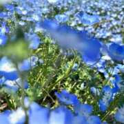 ヒメ日記 2025/05/02 16:54 投稿 ひなた みつらん鉄道