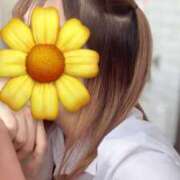 ヒメ日記 2025/05/15 18:34 投稿 ひなた みつらん鉄道