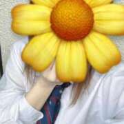 ヒメ日記 2025/05/17 13:44 投稿 ひなた みつらん鉄道