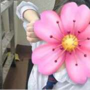 ヒメ日記 2025/05/17 16:14 投稿 ひなた みつらん鉄道