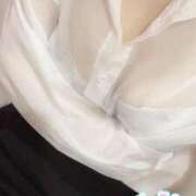 ヒメ日記 2025/06/25 13:44 投稿 ひなた みつらん鉄道