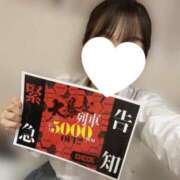 ヒメ日記 2025/07/21 18:34 投稿 ひなた みつらん鉄道