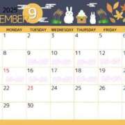 ヒメ日記 2025/08/29 15:04 投稿 ひなた みつらん鉄道