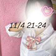 ヒメ日記 2025/11/04 12:04 投稿 ひなた みつらん鉄道