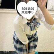 ヒメ日記 2025/11/05 11:04 投稿 ひなた みつらん鉄道