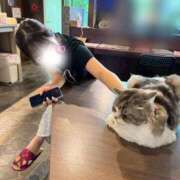 ヒメ日記 2025/11/20 12:44 投稿 ひなた みつらん鉄道