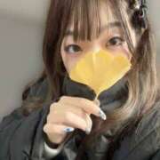 ヒメ日記 2025/11/27 01:04 投稿 ひなた みつらん鉄道