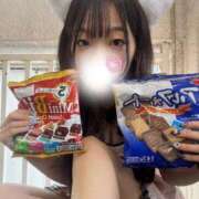 ヒメ日記 2025/11/27 15:24 投稿 ひなた みつらん鉄道