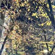 ひなた お休み中のひなたです🌙*ﾟ みつらん鉄道