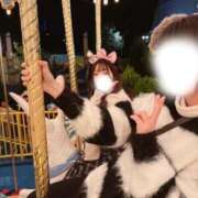 ヒメ日記 2025/12/23 09:24 投稿 ひなた みつらん鉄道