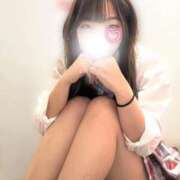 ヒメ日記 2025/12/28 11:44 投稿 ひなた みつらん鉄道