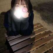 ヒメ日記 2025/12/29 17:04 投稿 ひなた みつらん鉄道