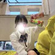 ヒメ日記 2026/01/17 20:42 投稿 ひなた みつらん鉄道