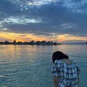 ヒメ日記 2026/01/23 10:34 投稿 ひなた みつらん鉄道