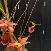 ヒメ日記 2026/01/25 16:14 投稿 ひなた みつらん鉄道