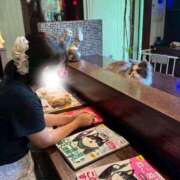 ヒメ日記 2026/01/27 07:14 投稿 ひなた みつらん鉄道