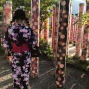 ヒメ日記 2026/01/29 06:54 投稿 ひなた みつらん鉄道