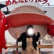 ヒメ日記 2026/02/01 02:04 投稿 ひなた みつらん鉄道