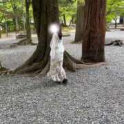 ヒメ日記 2026/02/07 02:04 投稿 ひなた みつらん鉄道