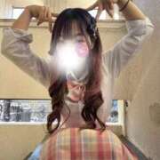 ヒメ日記 2026/02/17 11:04 投稿 ひなた みつらん鉄道