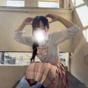 ヒメ日記 2026/02/19 10:54 投稿 ひなた みつらん鉄道