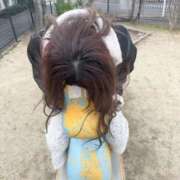 ヒメ日記 2026/03/05 07:44 投稿 ひなた みつらん鉄道