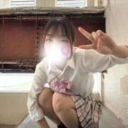 ヒメ日記 2026/03/15 10:04 投稿 ひなた みつらん鉄道