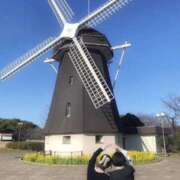 ヒメ日記 2026/03/16 23:24 投稿 ひなた みつらん鉄道