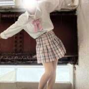 ヒメ日記 2026/03/17 11:14 投稿 ひなた みつらん鉄道