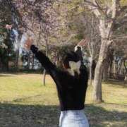 ヒメ日記 2026/03/18 11:14 投稿 ひなた みつらん鉄道