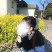 ヒメ日記 2026/03/19 18:46 投稿 ひなた みつらん鉄道