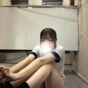 ヒメ日記 2026/03/19 19:44 投稿 ひなた みつらん鉄道