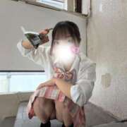 ヒメ日記 2026/03/20 10:04 投稿 ひなた みつらん鉄道