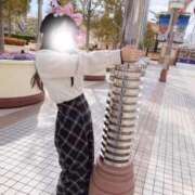 ヒメ日記 2026/03/23 08:04 投稿 ひなた みつらん鉄道