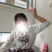 ヒメ日記 2026/03/28 10:54 投稿 ひなた みつらん鉄道