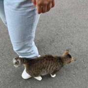 ヒメ日記 2026/04/01 23:13 投稿 ひなた みつらん鉄道