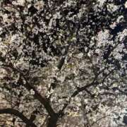 ヒメ日記 2026/04/03 22:54 投稿 ひなた みつらん鉄道